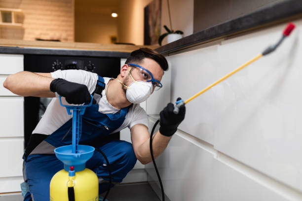 Best Local Pest Control Services  in Floydada, TX