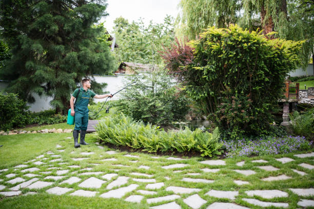 Best Mosquito Control Services  in Floydada, TX