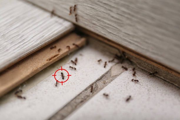Best Wildlife Control Services  in Floydada, TX
