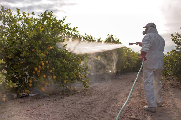 Best Residential Pest Control  in Floydada, TX