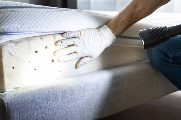 Best Pest Inspection Near Me  in Floydada, TX