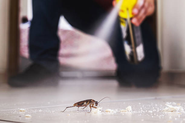 Best Best Pest Control Companies  in Floydada, TX