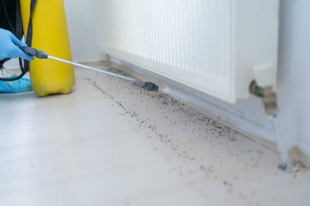 Best Mosquito Control Services  in Floydada, TX