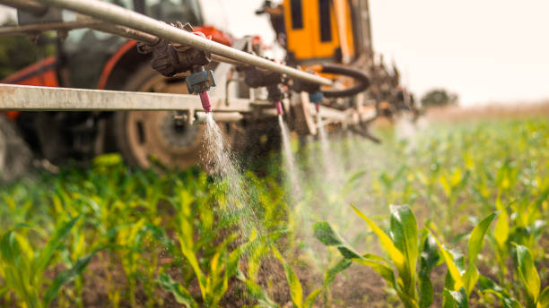 Best Pest Removal Services  in Floydada, TX